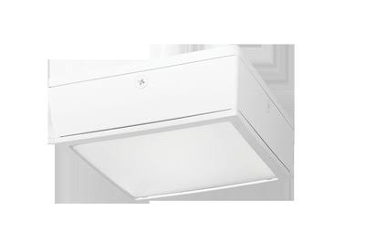 10W White LED Canopy Light U38180