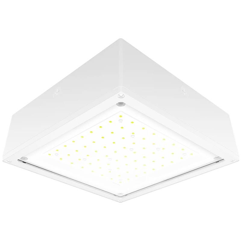 10W White LED Canopy Light U38180