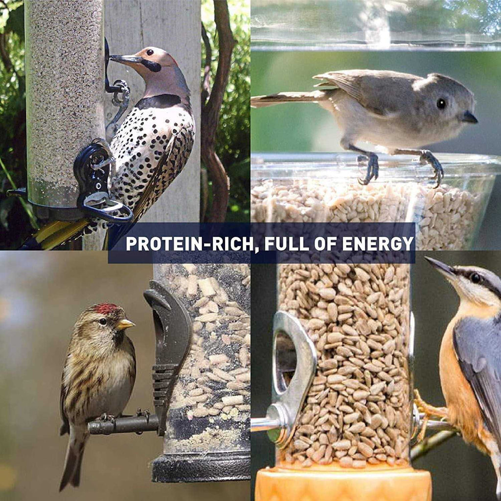 Sunflower Kernels Wild Bird Food 50 lb E78221