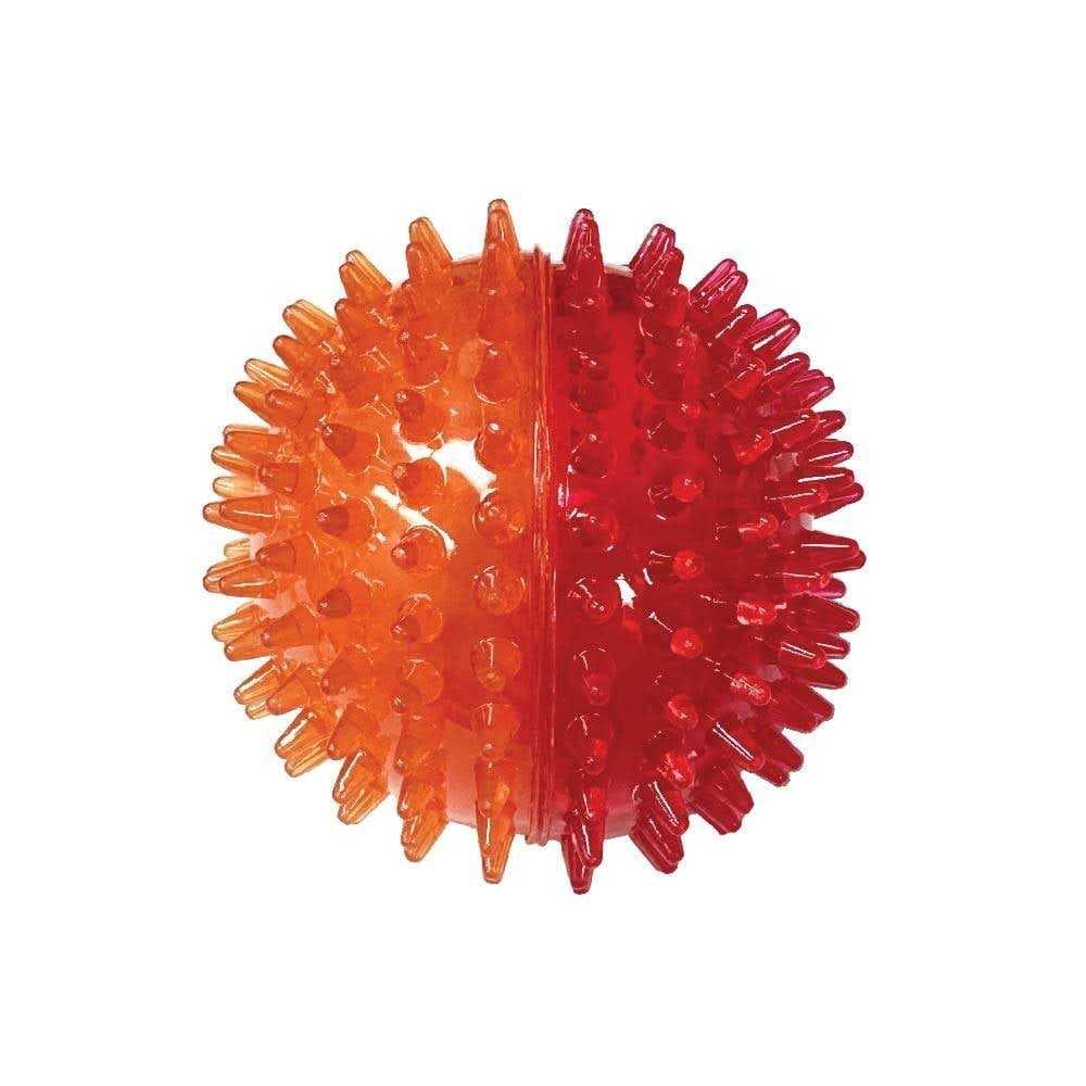 Spiky Ball Dog Toy C272256