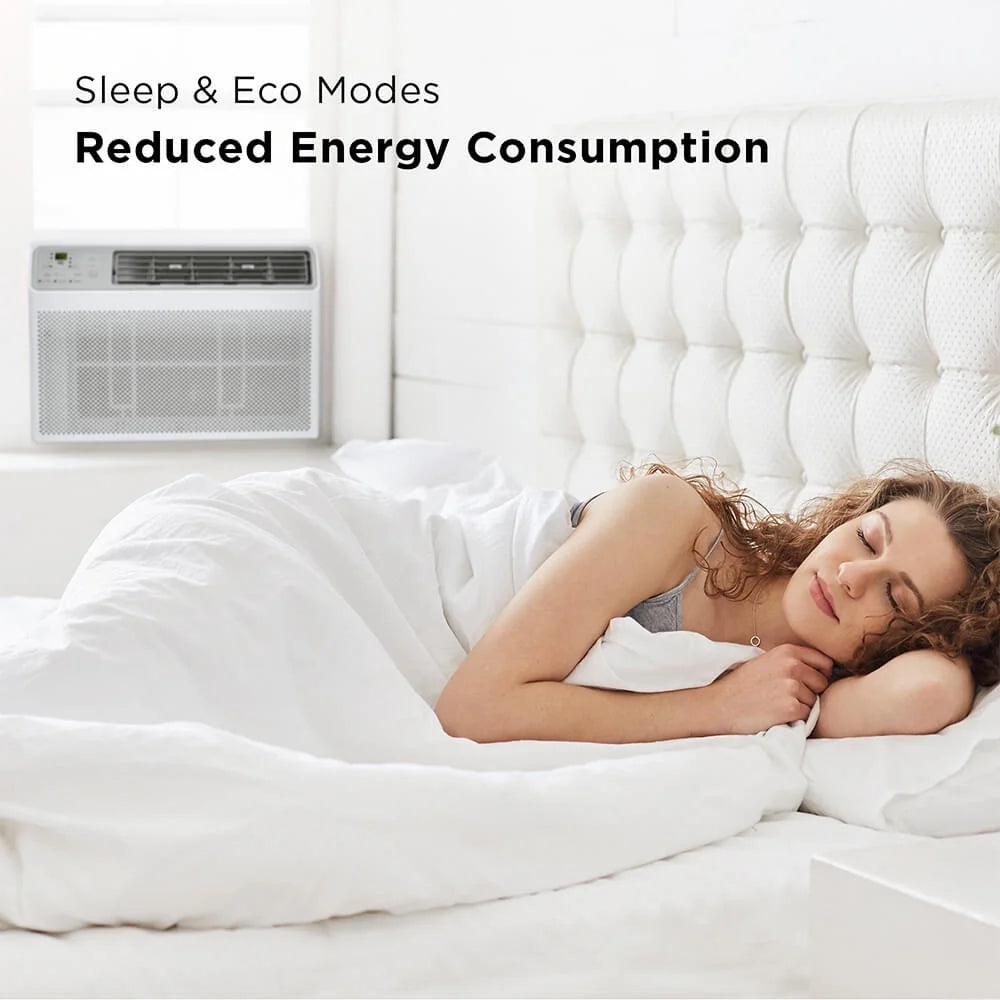 6000 BTU Smart Window Air Conditioner N310