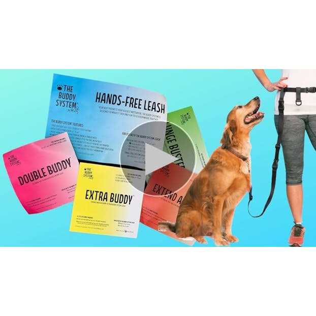 Adjustable Hands Free Dog Leash Y198