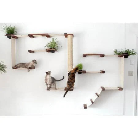 Cat Mod Garden Complex T10390