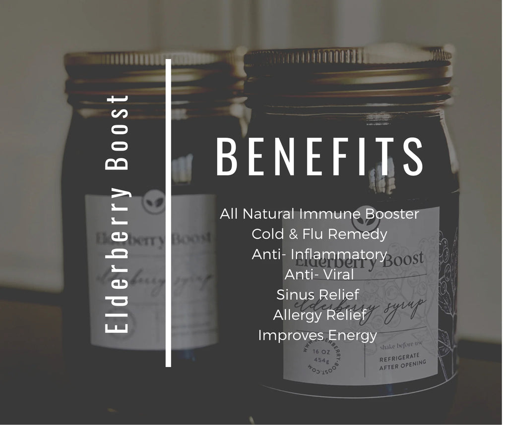 Elderberry Syrup 16 fl oz V77662