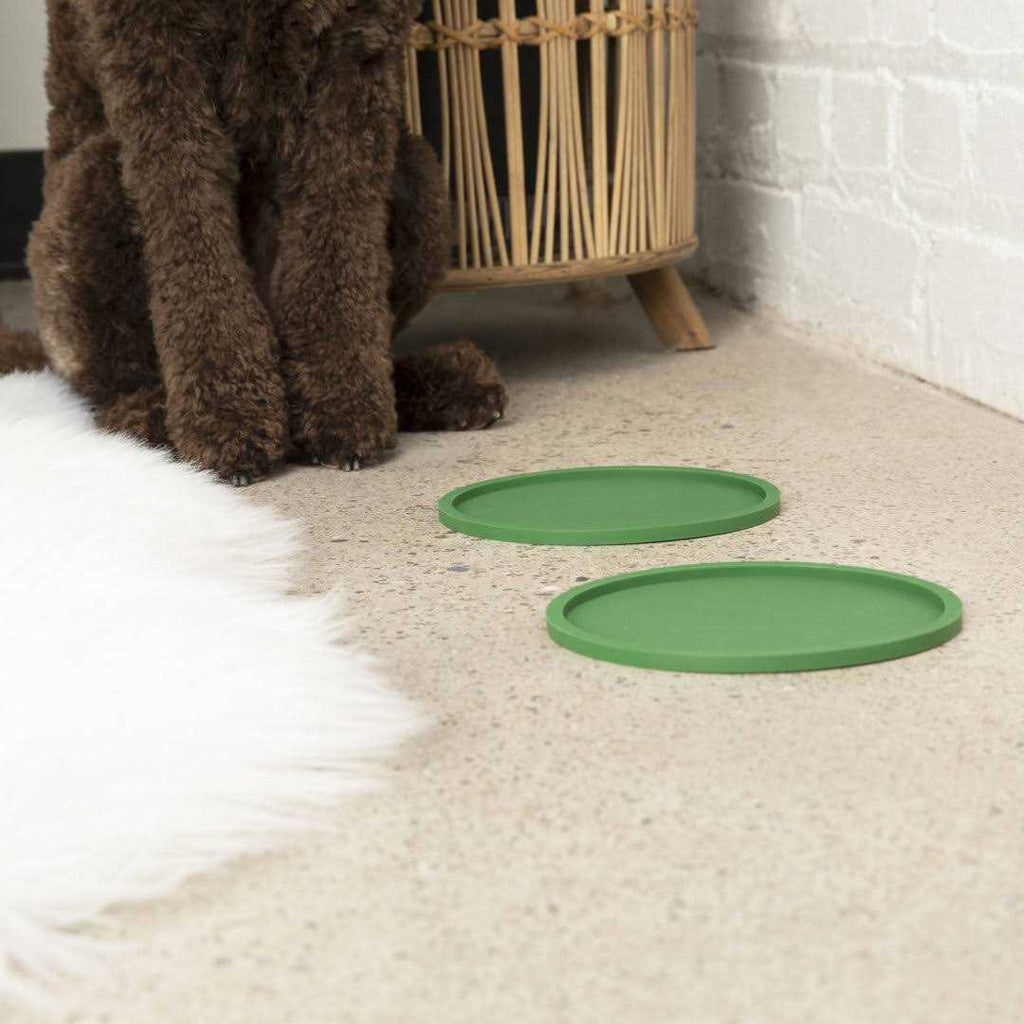 Dog Placemat Y266