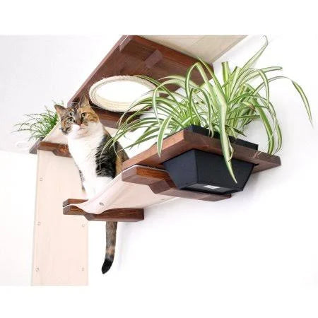 Cat Mod Garden Complex T10390