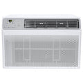 6000 BTU Smart Window Air Conditioner N310