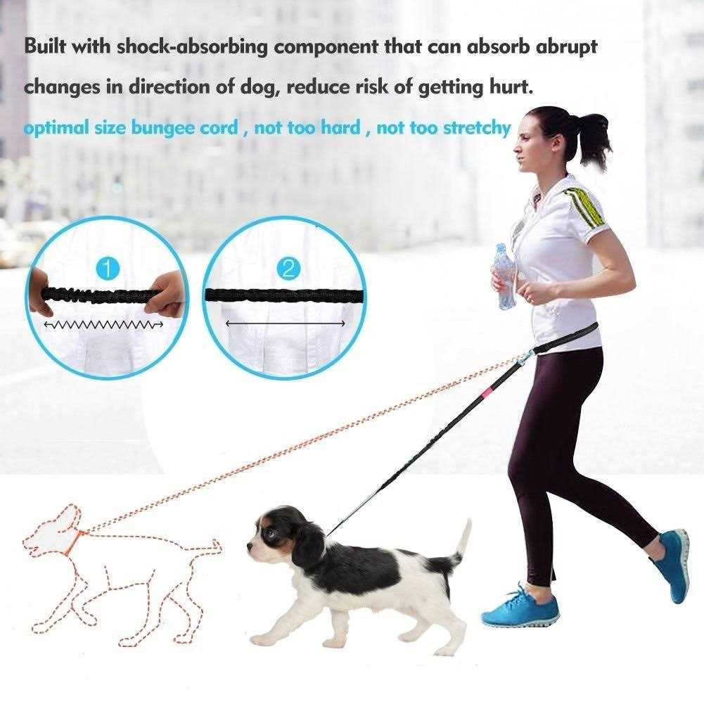 Hands Free Reflective Bungee Dog Leash U472642