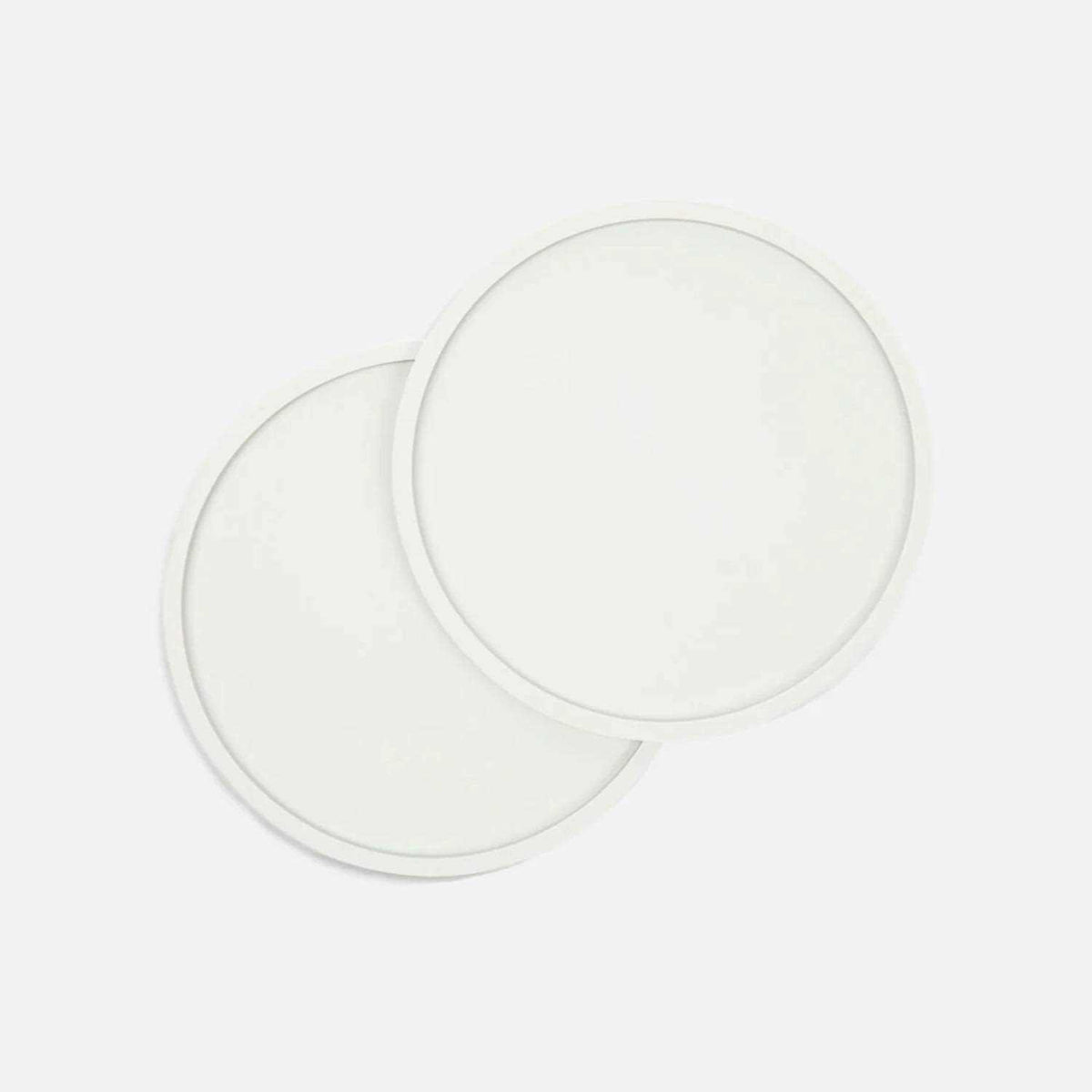 Dog Placemat Y266