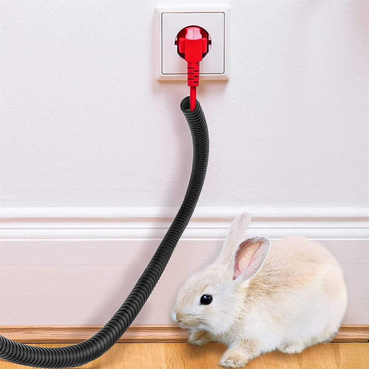 Cord Protector From Pets Y75213