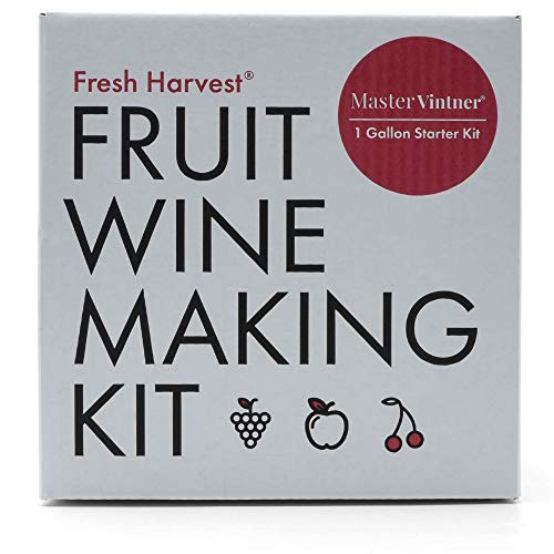 One Gallon Fruit Wine Making Kit E340