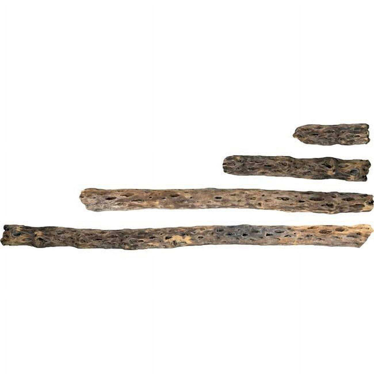 Cholla Wood K6656