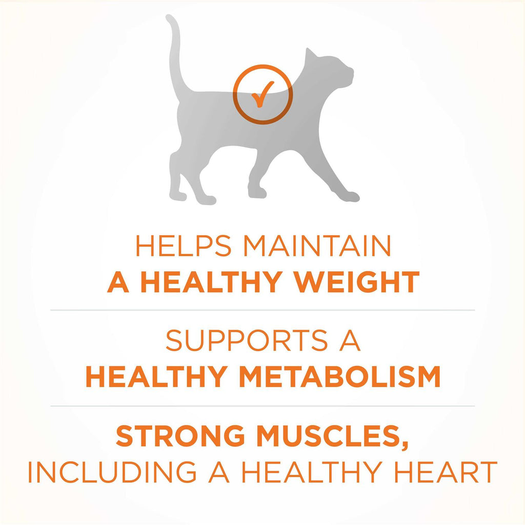 Dry Cat Food P1559