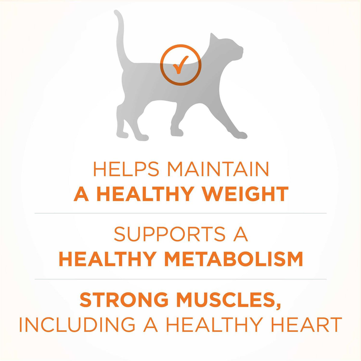 Dry Cat Food P1559