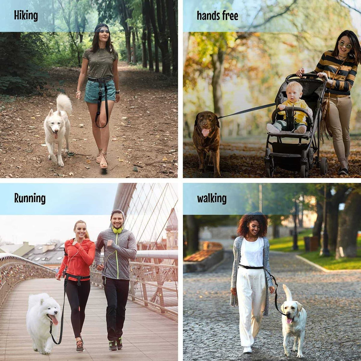 Adjustable Hands Free Dog Leash Y198