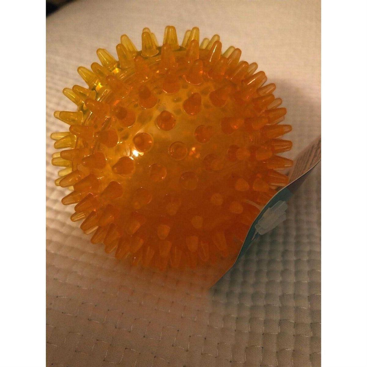 Spiky Ball Dog Toy C272256