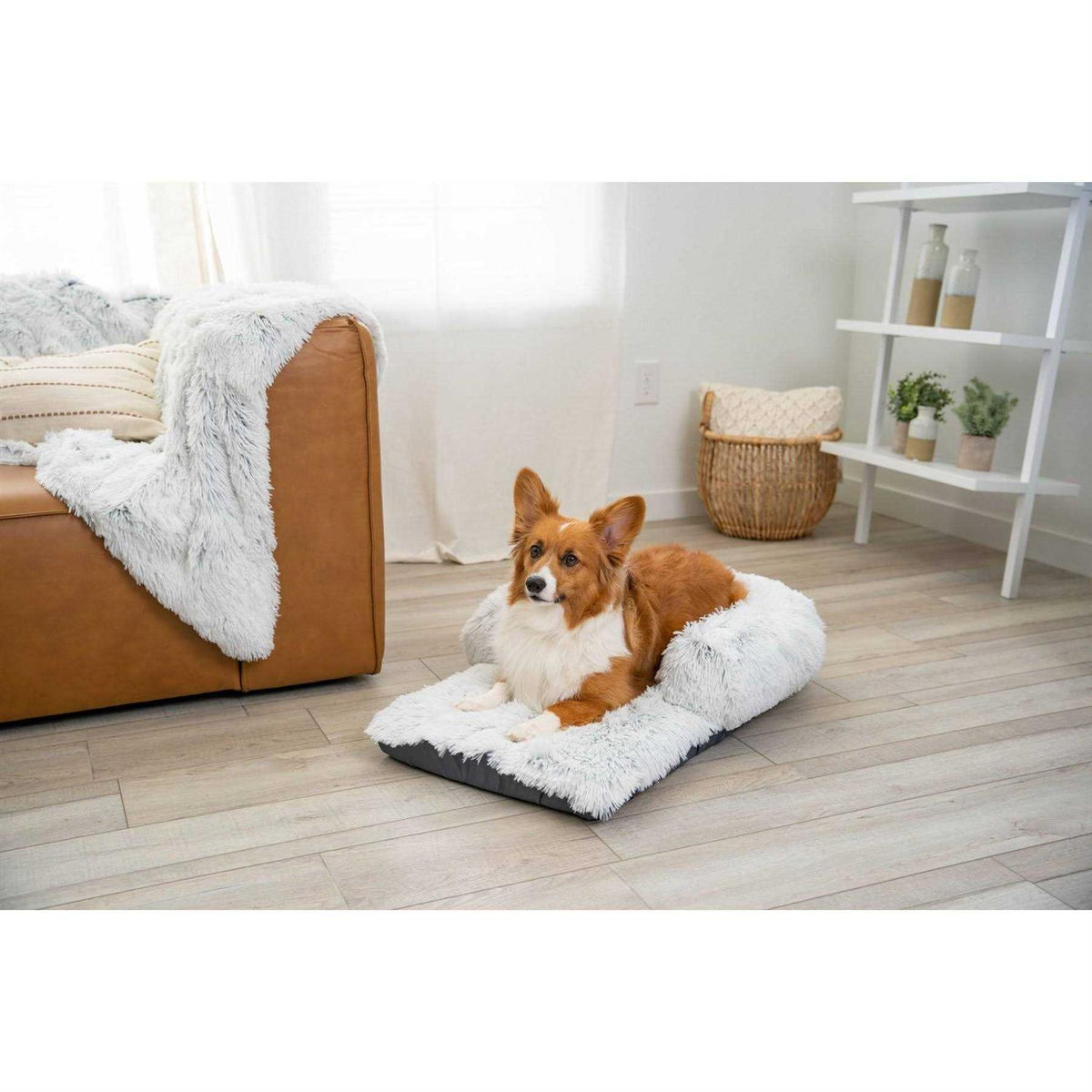 Dog Mat J22356